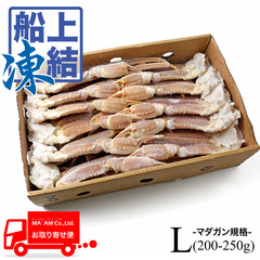 水産品/蟹類(生ズワイガニ類)/築地蟹商 ロシア船凍品 身入り◎ 生ズワイガニ(オピリオ種) セクション マガダン規格 L(200/250) 5kg