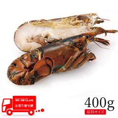 水産品/オマール海老(その他)/[ケース販売]生冷オマールロブスター ハーフ(爪なし・ミソ残し) 原料400gサイズ
