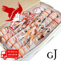 水産品/手長海老・スカンピ/[ケース販売]シーイーグル 活〆刺身用スキャンピホール/赤座海老 ジャンボサイズ 2kg