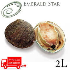 水産品/鮑(あわび)/[ケース販売]エメラルドスター お刺身用 活〆殻付きあわび グリーンリップ 2L(約90-110g) 1kg(10個入り)