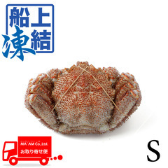 水産品/蟹類(鱈場・毛・渡り蟹など)/築地蟹商 ロシア船凍品(テナロン) ボイル毛ガニ(堅がに)姿 S(9/10尾)