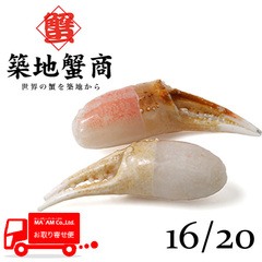 水産品/蟹類(生ズワイガニ類)/[ケース販売]築地蟹商 生食用 生ズワイガニ 二本爪ポーション 16/20サイズ 1kg
