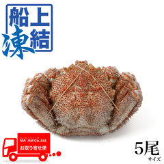 水産品/蟹類(鱈場・毛・渡り蟹など)/[ケース販売]築地蟹商 ロシア船凍品 ボイル毛ガニ(堅がに)姿 4kg(5尾入りサイズ)