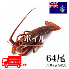 水産品/その他ロブスター/[ケース販売]トリスタン島沖 ボイル ミナミイセエビ属ロブスターホール 64尾 10kg