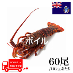 水産品/その他ロブスター/[ケース販売]トリスタン島沖 ボイル ミナミイセエビ属ロブスターホール 60尾 10kg
