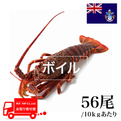 水産品/その他ロブスター/[ケース販売]トリスタン島沖 ボイル ミナミイセエビ属ロブスターホール 56尾 10kg