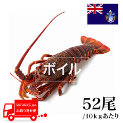 水産品/その他ロブスター/[ケース販売]トリスタン島沖 ボイル ミナミイセエビ属ロブスターホール 52尾 10kg