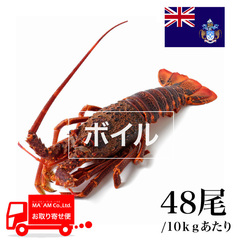 水産品/その他ロブスター/[ケース販売]トリスタン島沖 ボイル ミナミイセエビ属ロブスターホール 48尾 10kg