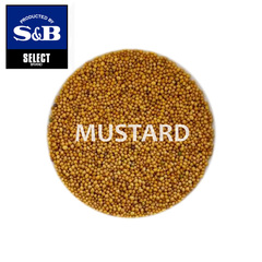 調味料・ソース/S&Bセレクトスパイス/S&Bセレクト マスタード(ホール) 100g