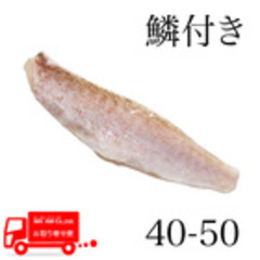 水産品/魚類(その他加熱用)/[ケース販売]リキッド凍結 赤甘鯛フィレ(鱗付き・皮付き) 40-50g 8枚入り