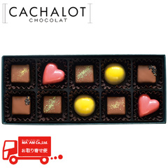 チョコレート/日仏商事(カシャロ)/カシャロ ショコラギフトボックス 10粒入り Bセット