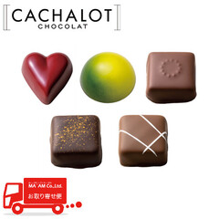 チョコレート/日仏商事(カシャロ)/カシャロ ショコラアソート A 5種×20粒入り