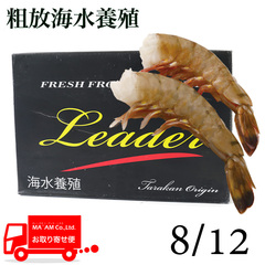 水産品/(養殖)無頭海老殻付きテール/[ケース販売]タラカン島産 粗放海水養殖 無頭ブラックタイガーエビ 8/12 1.8kg