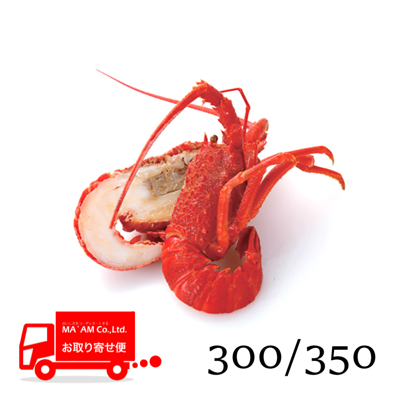 /[ケース販売]ボイルロブスター ハーフカット(ミソ有り) レッド 原料300/350サイズ 