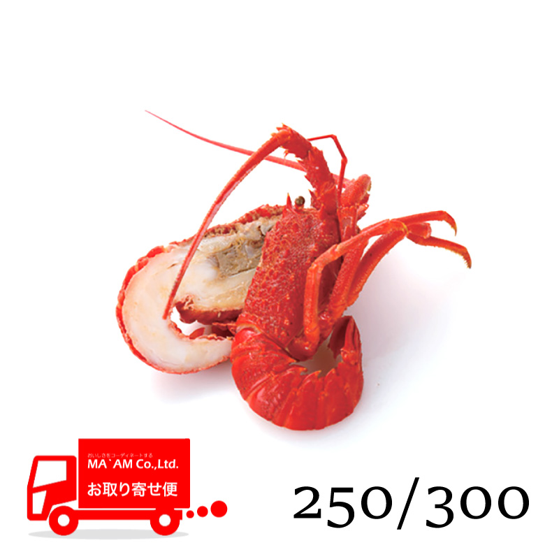 /[ケース販売]ボイルロブスター ハーフカット(ミソ有り) レッド 原料250/300サイズ 