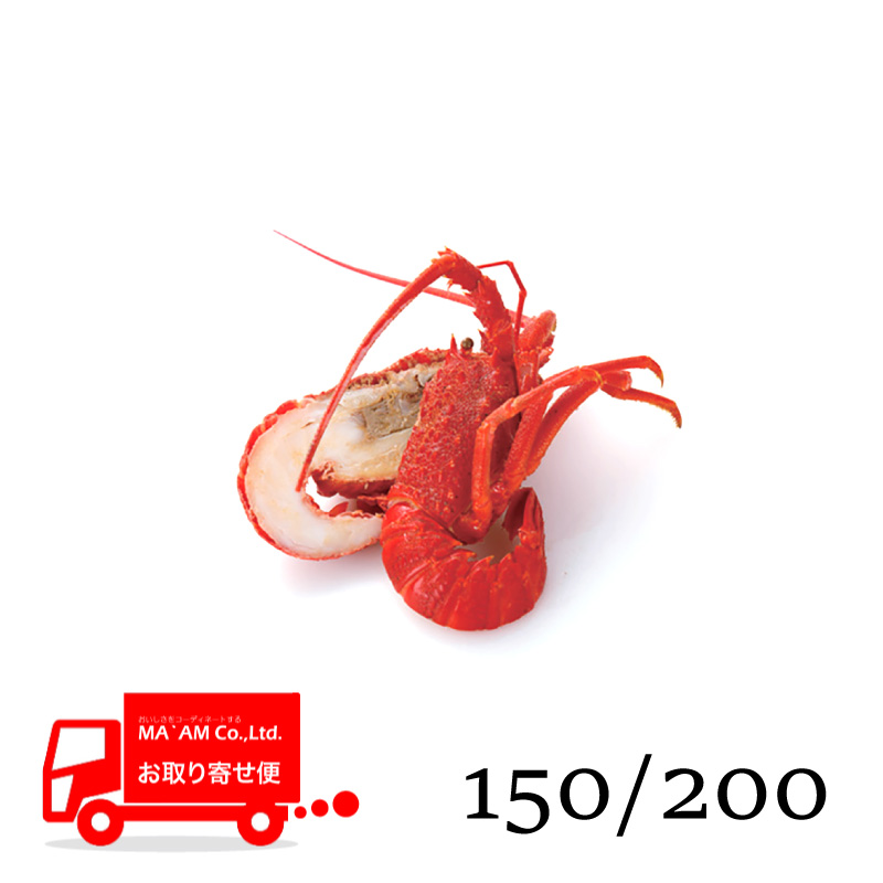 /[ケース販売]ボイルロブスター ハーフカット(ミソ有り) レッド 原料150/200サイズ 