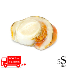 水産品/帆立(ほたて)/[ケース販売]鮮度勝負 北海道噴火湾産 剥き帆立湯霜造り(生食用・ウロ取り) 5Sサイズ 1kg