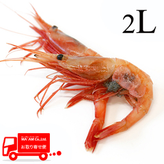 水産品/その他有頭海老/[ケース販売]船内急速凍結 お刺身用 天然甘海老(ロシア南蛮) 2Lサイズ 1kg
