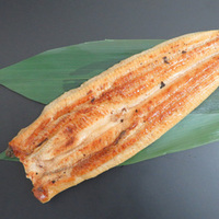 活〆うなぎ黄金焼き ジャポニカ種 約200g×50尾  [753005]
