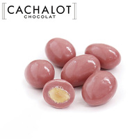 [ケース販売]カシャロ コンフィズリーショコラテ ルビーアマンド 500g [754051]