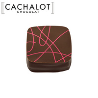 カシャロ チョコレート ガナッシュ パレフレーズ 20粒入り [754000]