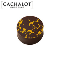 カシャロ チョコレート ガナッシュ パレドール 20粒入り [754001]