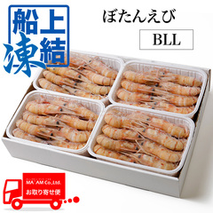水産品/その他有頭海老/[ケース販売]船内超急速冷凍 お刺身用 ぼたん海老(オス・卵なし) BLLサイズ 2kg