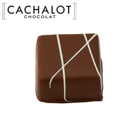 カシャロ チョコレート ガナッシュ パレダルジャン 20粒入り [754009]