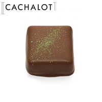カシャロ チョコレート ガナッシュ 抹茶 20粒入り [754010]