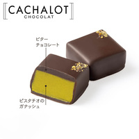 カシャロ チョコレート ガナッシュ ピスターシュ 20粒入り [754017]