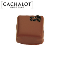 カシャロ チョコレート プラリネ ゴマ 20粒入り [754022]