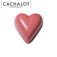 カシャロ チョコレート モールド フランボワーズ 20粒入り [754029]