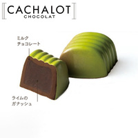 カシャロ チョコレート モールド ライム 20粒入り [754031]