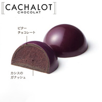 カシャロ チョコレート モールド カシス 20粒入り [754032]