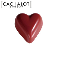 カシャロ チョコレート モールド パッション 20粒入り [754033]