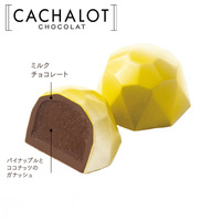 カシャロ チョコレート モールド アナナスココ 20粒入り [754040]