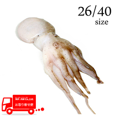 /[ケース販売]飯だこホールクリーン 26/40 ブロック凍結 2kg