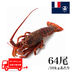 /[ケース販売]セントポール島沖 生冷 ミナミイセエビ属ロブスターホール 64尾 10kg