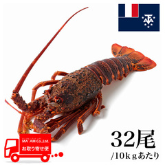水産品/その他ロブスター/[ケース販売]セントポール島沖 生冷 ミナミイセエビ属ロブスターホール 32尾 10kg