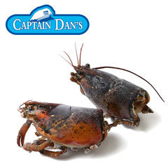 水産品/オマール海老(その他)/生冷 ミソ入り オマール(アメリカンロブスター) ヘッド