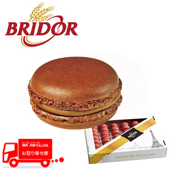 パン・洋菓子/マカロン/ブリドール マカロン ショコラ 12g 48個入り