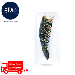 水産品/オマール海老(その他)/サンク・デー・オー ハイプレッシャー 急速冷凍 生冷オマール・ブルー 殻付テール ハーフカット