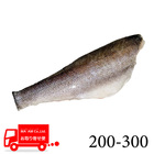 [P[X̔]XyNg {錧Y XYLtB(E) 200-300 1