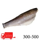 [P[X̔]XyNg {錧Y XYLtB(E) 300-500 1