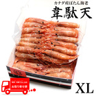 [P[X̔]Ji_Y ʓV hgp VRڂCV(Ȃ) XLTCY@1kg cCpbN [206601]