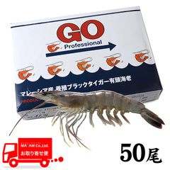 [P[X̔]GO Proffesional {lIY {BubN^CK[LCV 50TCY 1.3kg [206472]