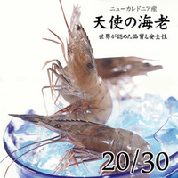 伊万仁 刺身用 天使の海老 20/30 IQF 1kg 伊万仁 刺身用 天使の海老 20/30 IQF 1kg