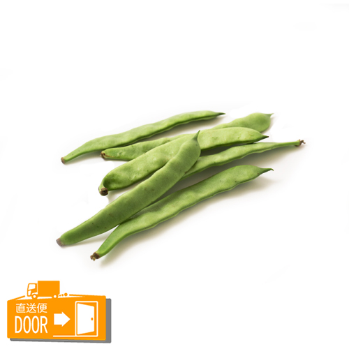 有機栽培 モロッコインゲン 100g