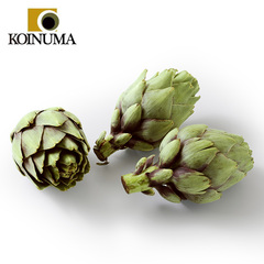 鯉沼商会 フランス産 フレッシュ アーティチョーク バイオレット
