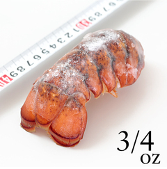 �m�o�X�R�V�A�������� �u�����`�I�}�[���e�[��(�k�t) 3/4�I���X